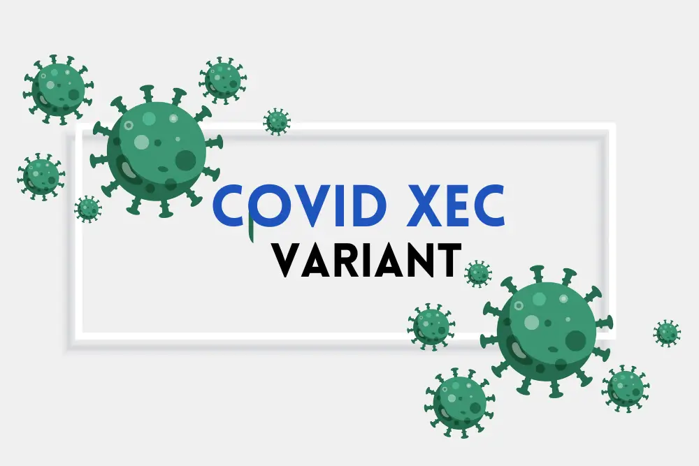 COVID-XEC-variant