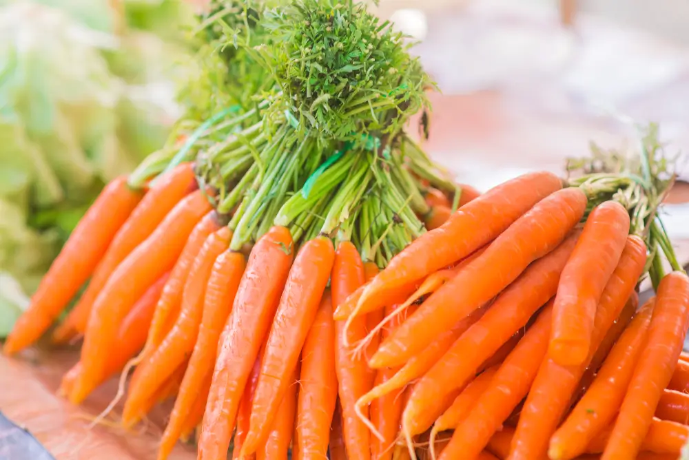 Bunch-of-fresh-orange-carrots