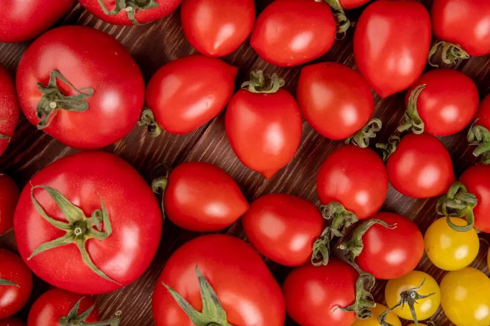 Fresh-red-tomatoes