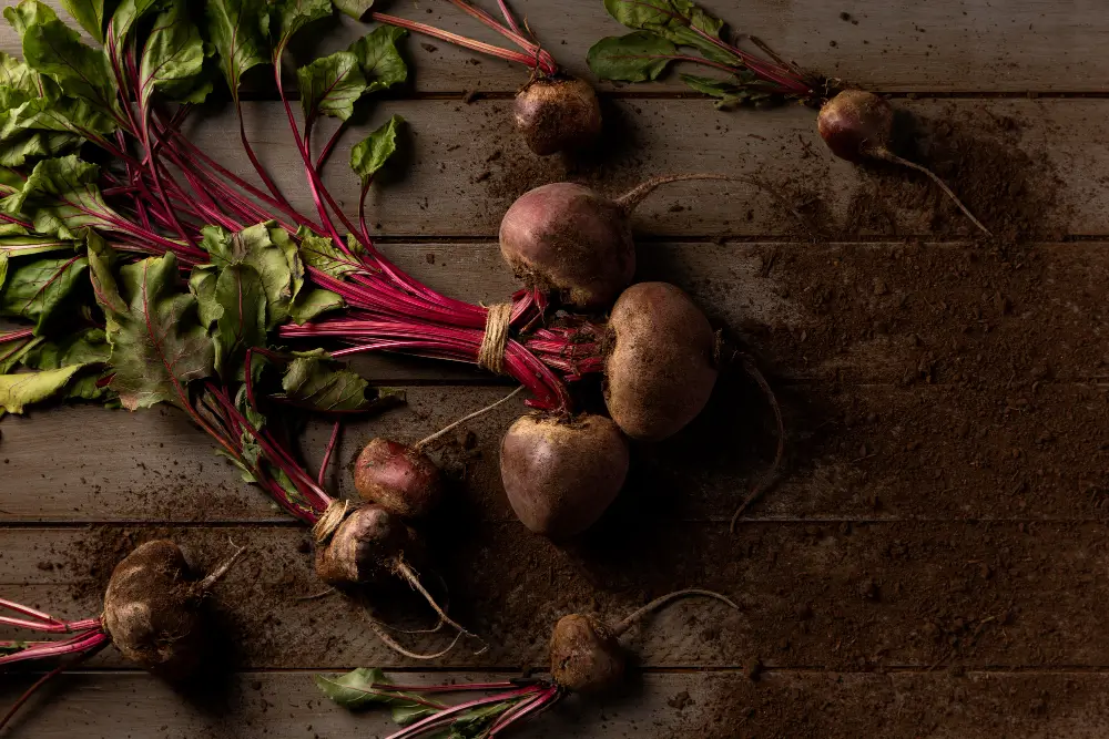 10-Powerful-Health-Benefits-of-Beetroot